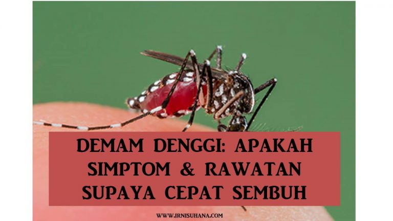 Demam Denggi: Simptom Denggi & Rawatan Supaya Demam Denggi ...